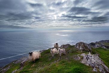 Incredible Tours of West Cork